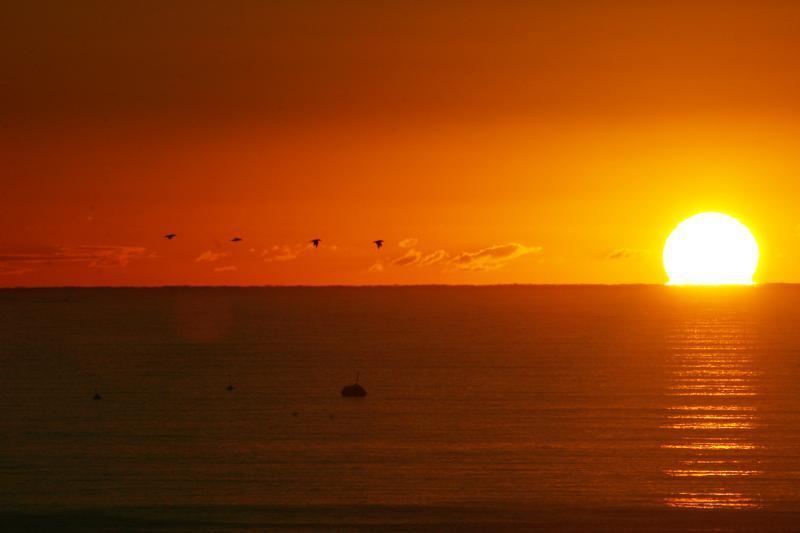San Simeon Beachfront Apartments Tugun Gold Coast Esterno foto